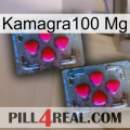 Kamagra100 Mg 14